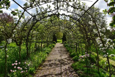 Yeşil Yapraklı İngiliz Tarzı Peyzaj Bahçesi 'nden Archapple Tree Trellis ile Asfalt Yol Manzarası