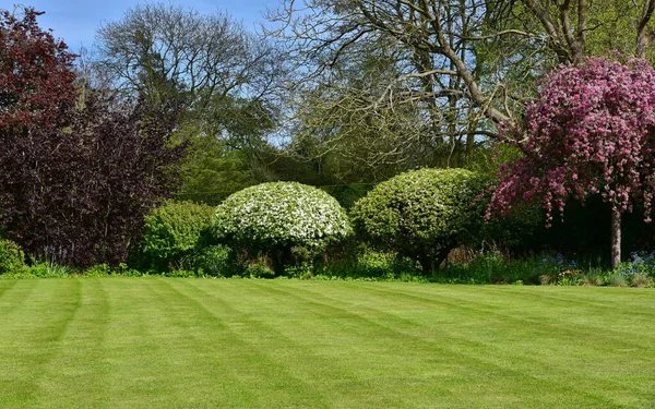 Jardín Con Hierba Verde Árboles — Foto de Stock