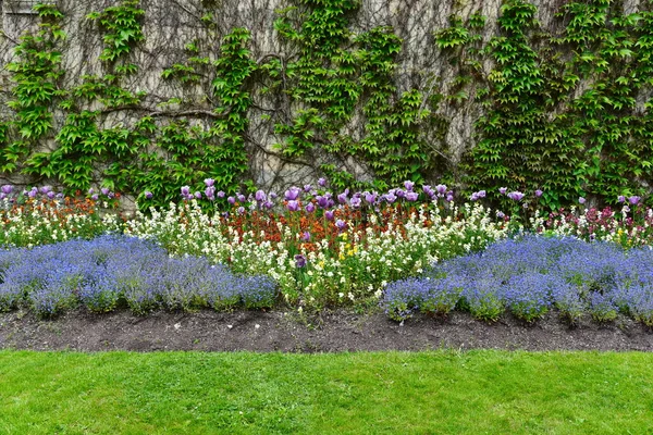 Hermoso Jardín Con Árboles Verdes Flores — Foto de Stock