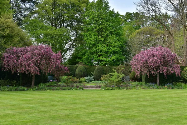 Green grass, trees and flowers at summer park