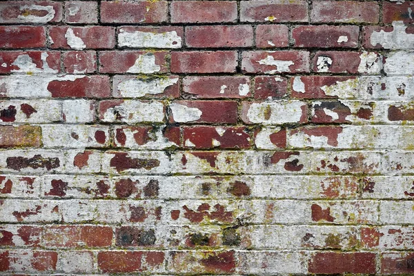 Mur Briques Avec Une Briques Rouges Blanches Texture — Photo