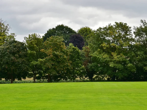 Gröna Fält Landsbygden — Stockfoto