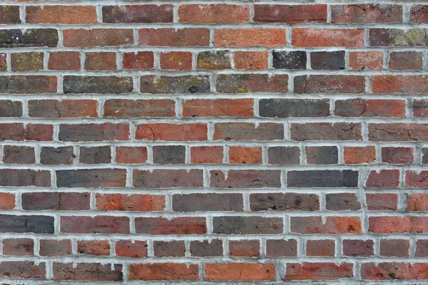 Brick Wall Red White Bricks Texture — 스톡 사진