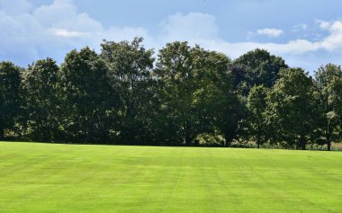 Kırsalda yeşil alanlar