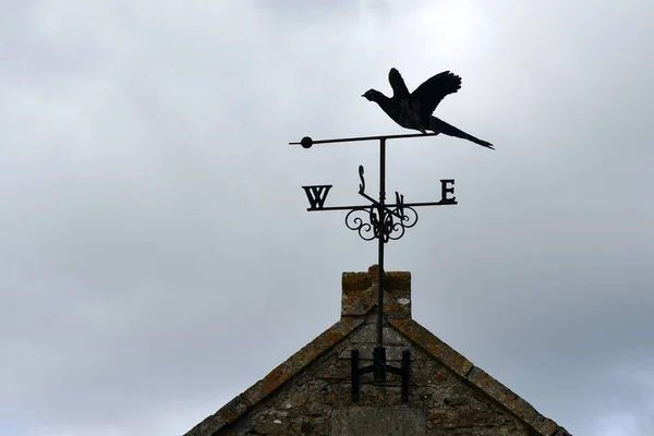 Silhouette Antique Bird Themed Weather Vane Stormy Sky — Stock Photo, Image