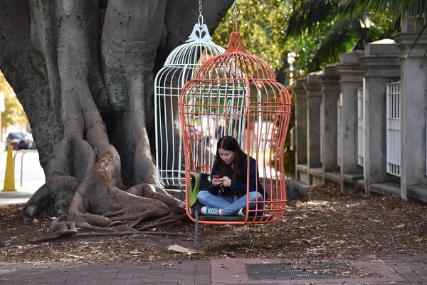 Perth Austrálie Května 2017 Žena Sedí Sedadle Kleci Zavěšeném Stromě — Stock fotografie