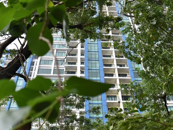 High Rise Apartment Building Seen Leafy Foliage — Stock Photo, Image