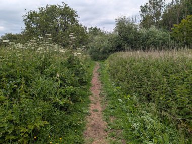 Kırsal kesimde bir patikanın manzarası