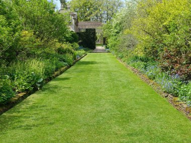 Güzel bir İngiliz tarzı bahçe boyunca yemyeşil çimen yolu manzarası yapraklı bitkiler ve renkli çiçeklerle