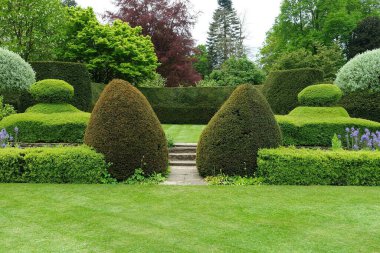 Güzel bir İngiliz Stili Bahçesinde Çimen ve Yapraklı Ağaçların Manzarası