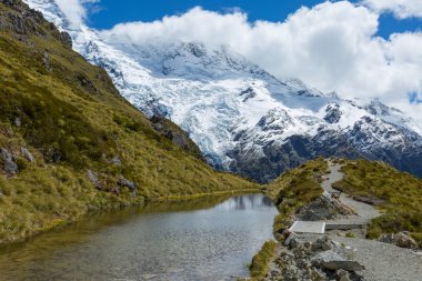 Mueller kulübe rota Yeni Zelanda