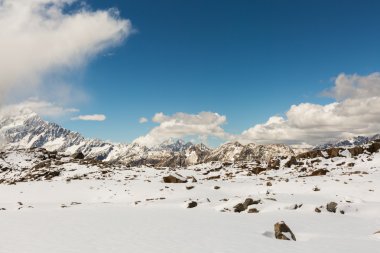 Mueller kulübe rota Yeni Zelanda