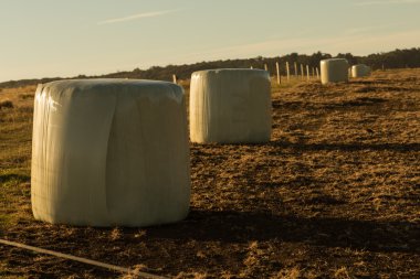 yeşil bir ürün balya sarılmış plastik depolama