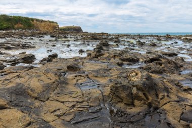 Curio Bay, Catlins Yeni Zelanda
