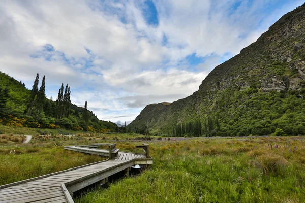 Pont en bois Nouvelle-Zélande — Photo