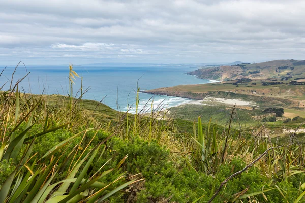 Przybrzeżnych widok z góry mouintain. Otago Penin, Nowa Zelandia — Zdjęcie stockowe