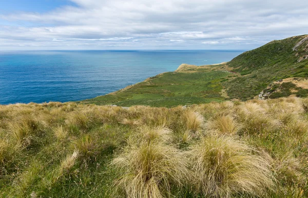 Przybrzeżnych widok z góry mouintain. Otago Penin, Nowa Zelandia — Zdjęcie stockowe