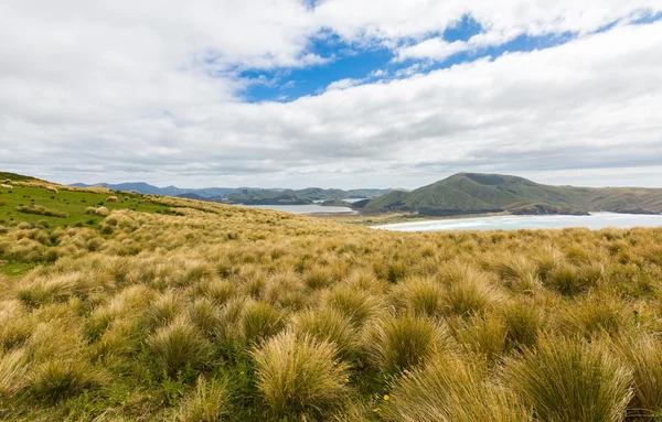 Pobřežní pohled z horní části mouintain. Nový Zéland, Otago Penina — Stock fotografie