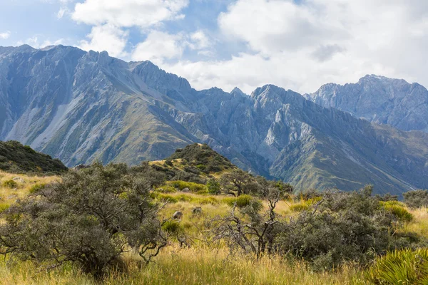 Park Narodowy Mount Cook Nowa Zelandia — Zdjęcie stockowe