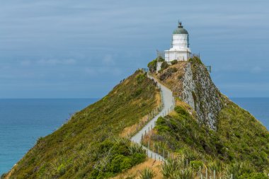 Deniz feneri Nugget Point Yeni Zelanda