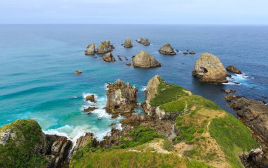 Nugget Point New Zealand clipart