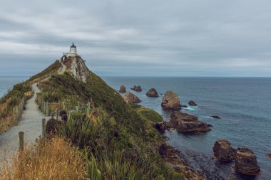 Deniz feneri Nugget Point Yeni Zelanda