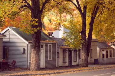 Vintage tarzı görüntü sonbahar 