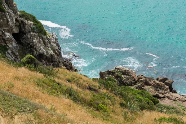 Nugget point Nowa Zelandia — Zdjęcie stockowe