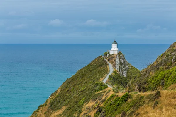 Deniz feneri Nugget Point Yeni Zelanda