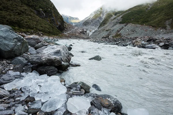 Лисичний льодовик у Новій Зеландії — стокове фото