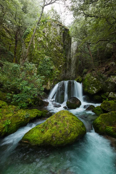 Cascada del bosque profundo —  Fotos de Stock