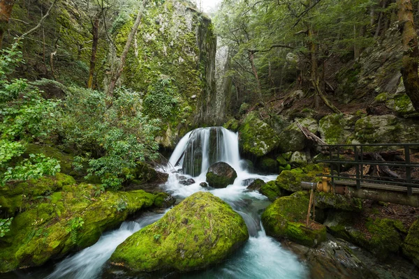 Tiefer Waldwasserfall — Stockfoto