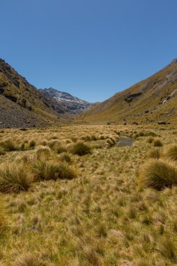 güzel dağ Vadisi manzara 