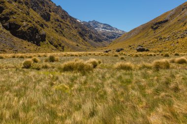 güzel dağ manzarası