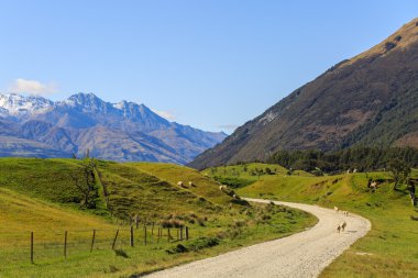 rural road in Glenorchy, New Zealand clipart