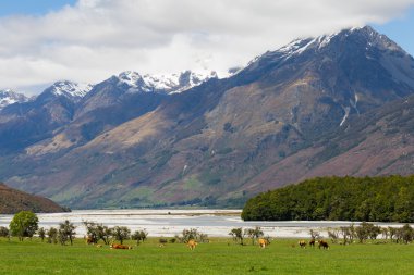 Yeni Zelanda 'daki dağ manzarası
