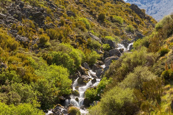 Small waterfall in valley — Stock Photo, Image