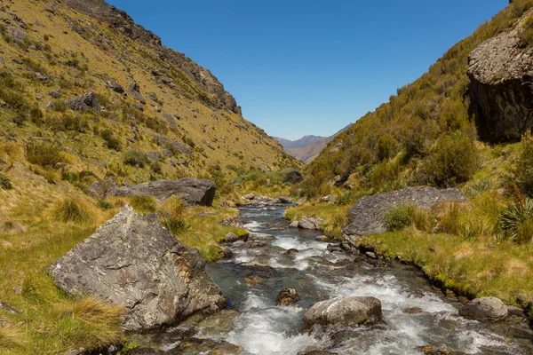 Bergdal en creek — Stockfoto