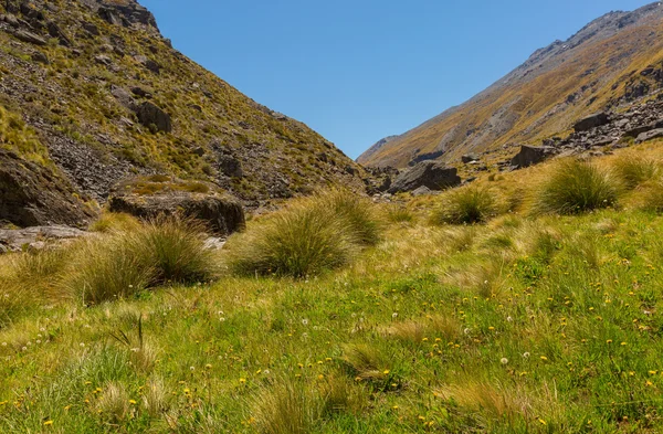 Mountain valley landscape — Stock Photo, Image