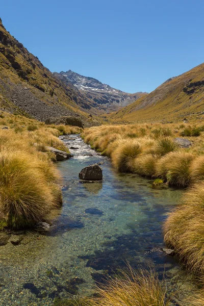 Beautiful mountain valley landscape with stream — Stock Photo, Image