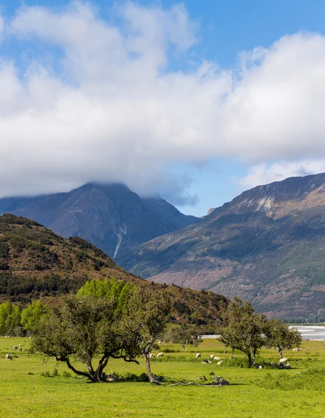 Mountain landscape in New Zealand — Stock Photo, Image