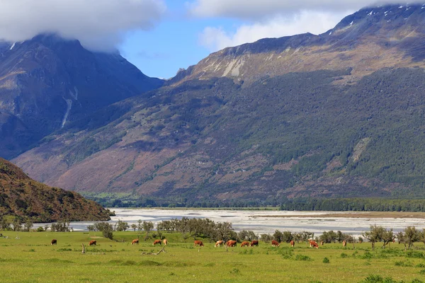 Paysage de montagne en Nouvelle-Zélande — Photo