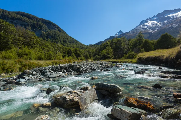 Paysage fluvial avec forêt verte et montagne — Photo