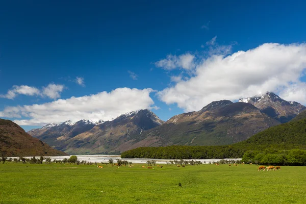 Paysage de montagne en Nouvelle-Zélande — Photo