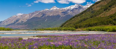 Lupin alan Nehri boyunca