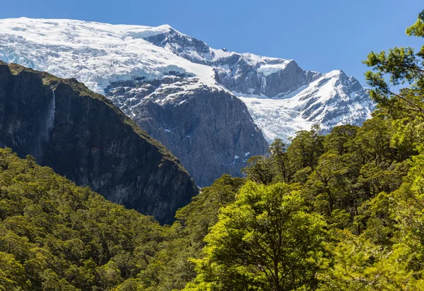 Vue majestueuse du glacier Rob Roy — Photo