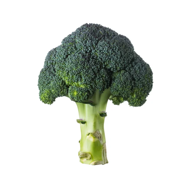 Jeden zielony brokuły — Zdjęcie stockowe