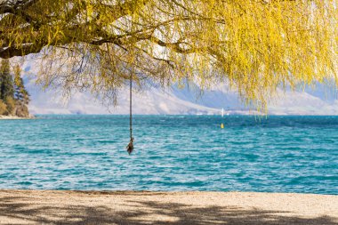 ağacın altında salıncak