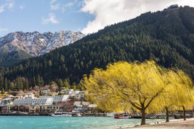 Queenstown Beach Yeni Zelanda