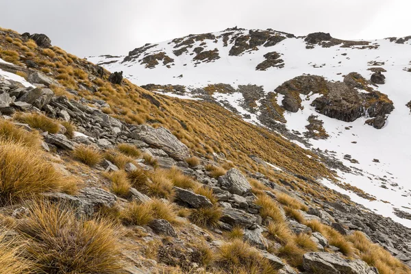 Pohled na pohoří Remarkables — Stock fotografie